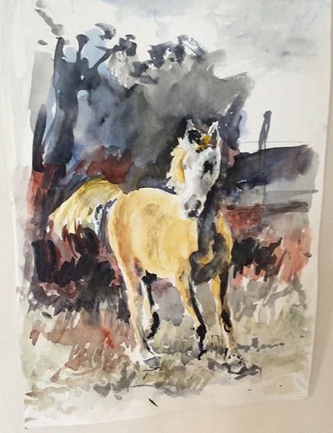 Obra Por el campo de Marita Budino de la categoría Artes Visuales